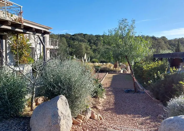 Rondinara Camara - *