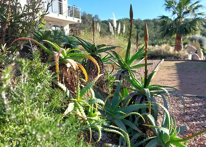 Rondinara Camara - 住宿加早餐酒店 *