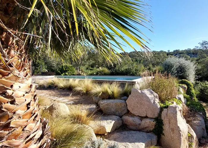 Rondinara Camara - 住宿加早餐酒店 里奇