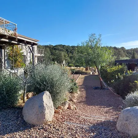 Rondinara Camara - *