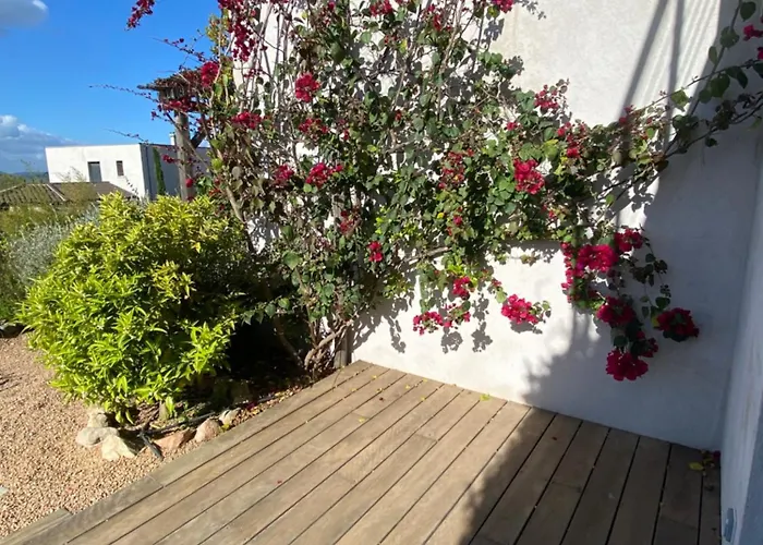 Frühstückspension Rondinara Camara -