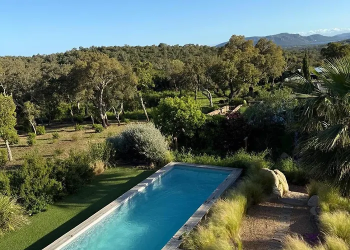 Rondinara Camara - レクシ